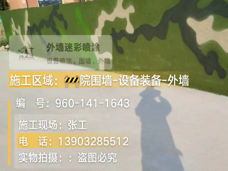 宜宾 迷彩漆喷涂价格（按平方米计费）